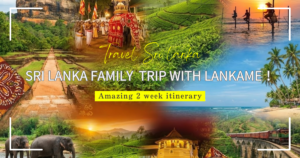 Sri Lanka Family Holiday Trip with LankaMe！ Amazing 2 week itinerary！