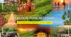 Exploring Sri Lanka: Is a Local Guide Necessary? Recommended Options in English