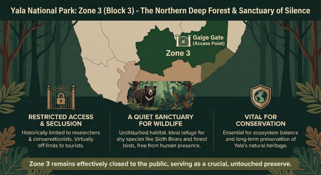 Yala national park zone3