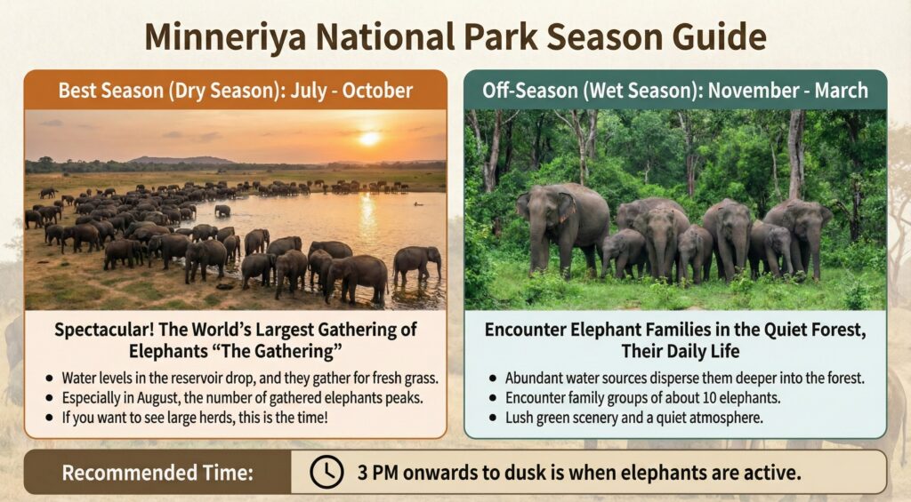 Minneriya National Park Season Guide