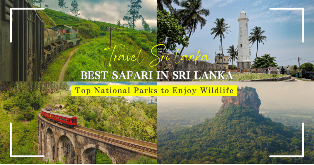 Best Safari in Sri Lanka ! Top National Parks to Enjoy Wildlife！