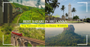 Best Safari in Sri Lanka ! Top National Parks to Enjoy Wildlife！