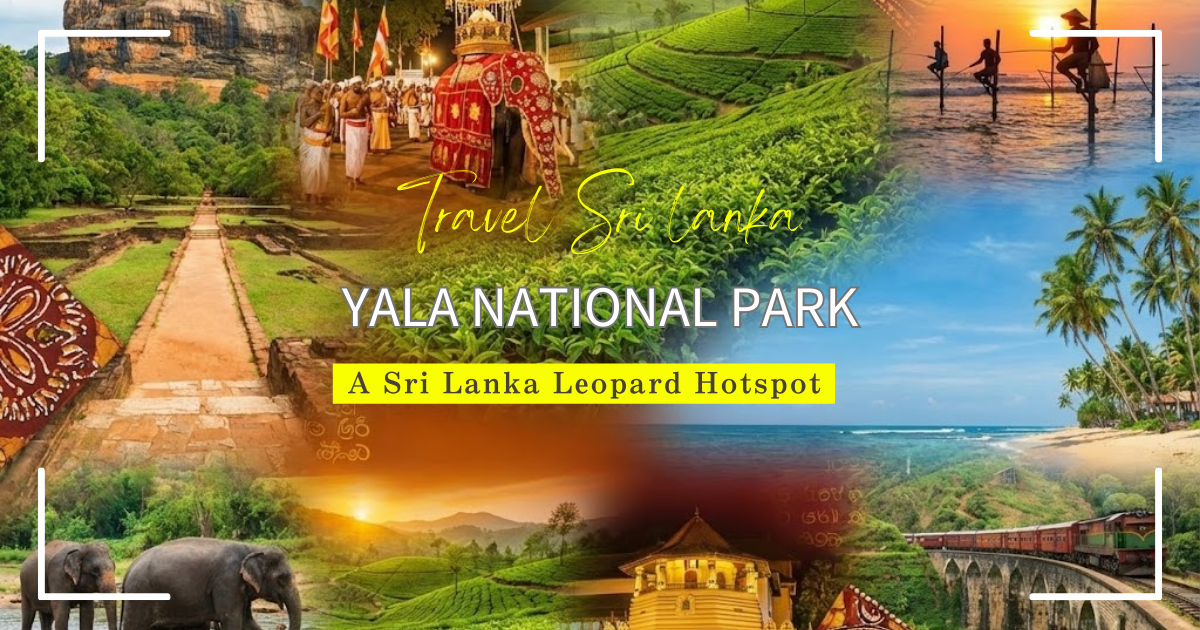 Yala National Park: A Sri Lanka Leopard Hotspot — Entrance fee & Recommended Jeep Tours