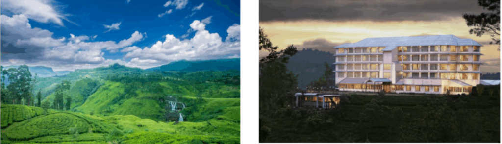 Nuwara Eliya: A Cool Highland Retreat and the Heart of Ceylon Tea Country