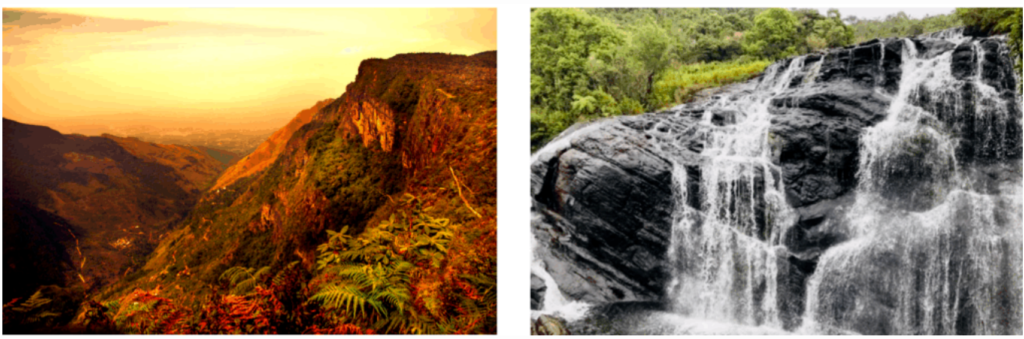 Horton Plains National Park: Highland Trek Above the Clouds to Breathtaking Panoramas