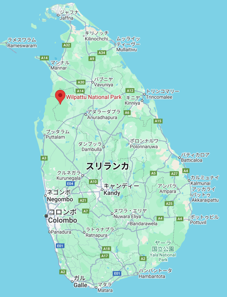 ウィルパットゥ国立公園