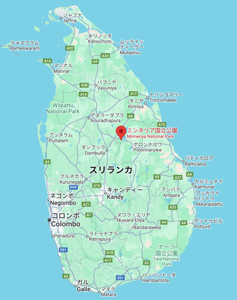 ミンネリア国立公園