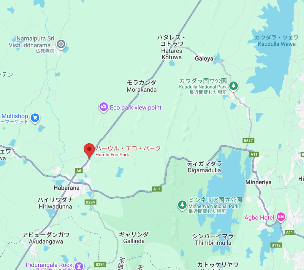 シーギリヤ地方のサファリ