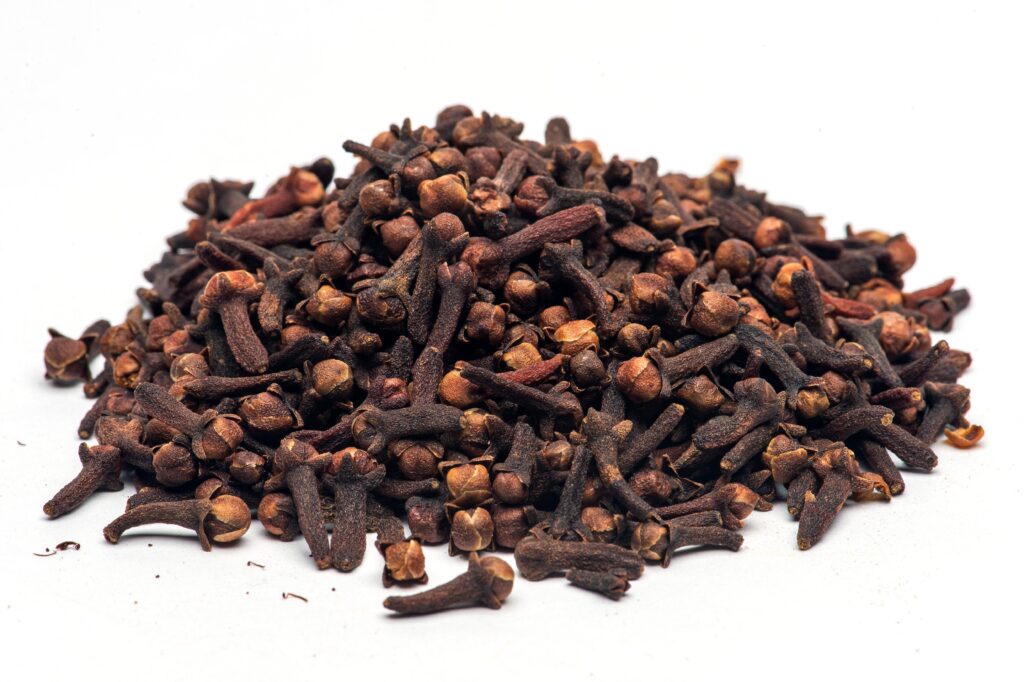 スリランカスパイス:クローブ(Clove/丁子)