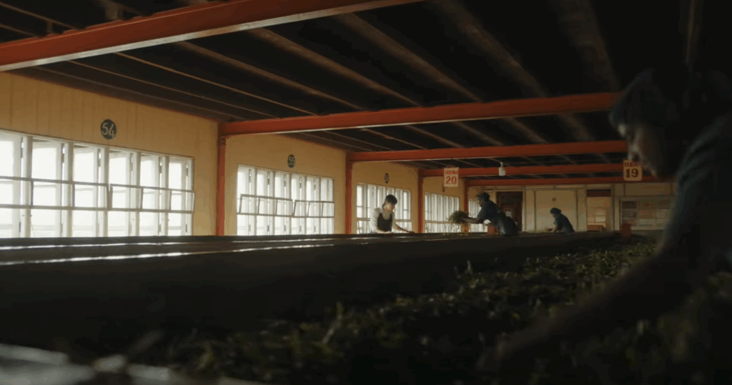 ペドロ茶園の目黒蓮