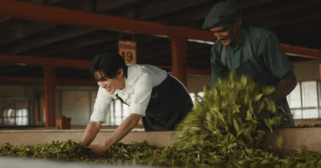 ペドロ茶園の目黒蓮
