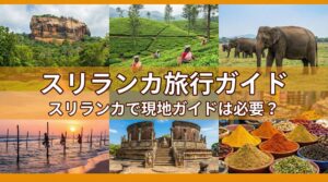 スリランカで現地ガイドは必要？日本語ガイドを手頃な価格で利用する魅力的な手段を紹介！