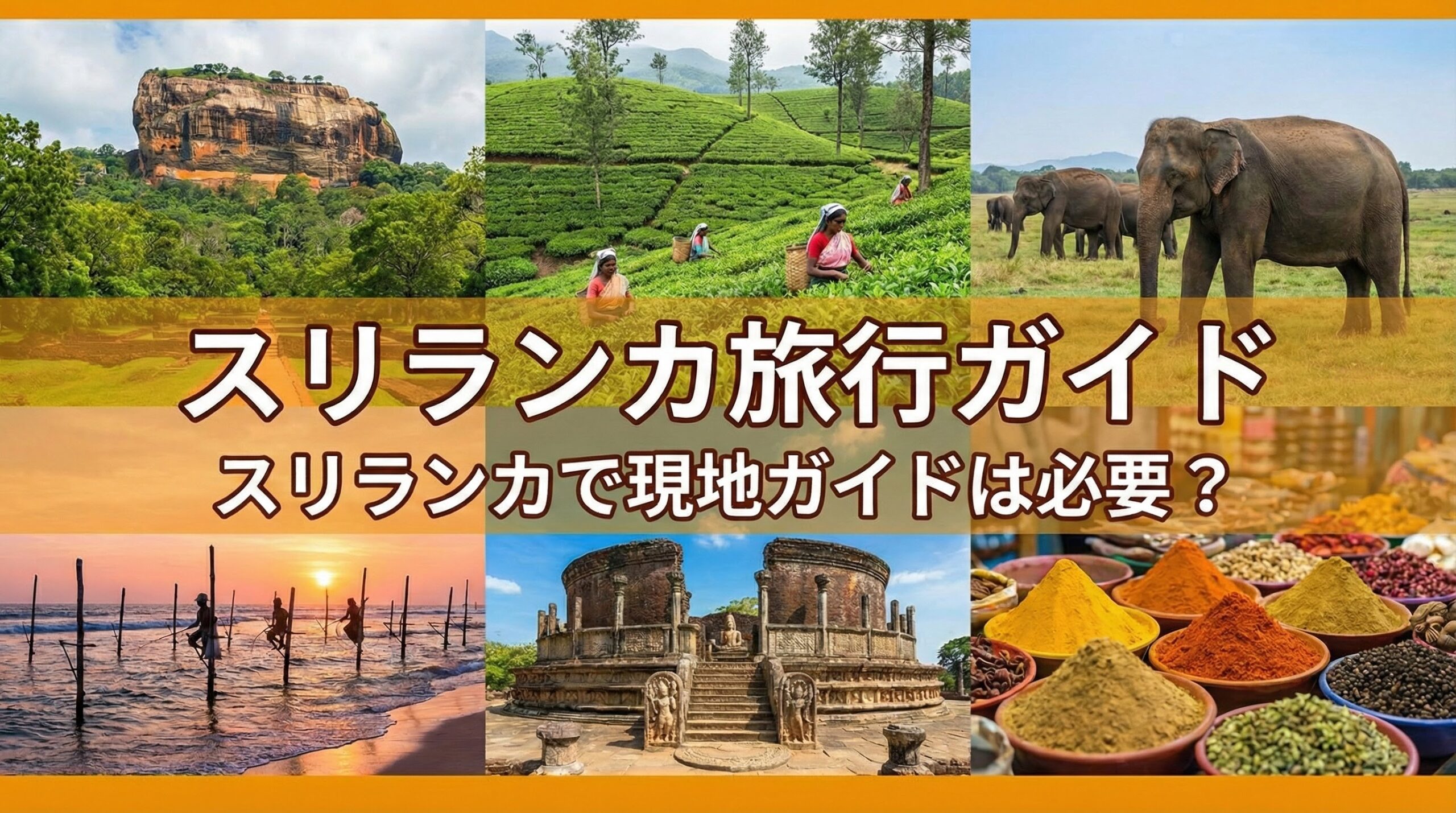 スリランカで現地ガイドは必要？日本語ガイドを手頃な価格で利用する魅力的な手段を紹介！